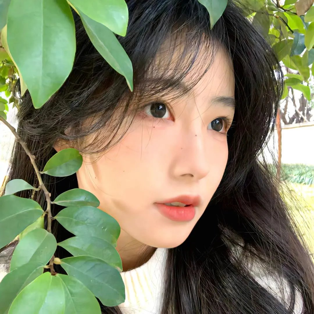 龙门驿站之嚎月